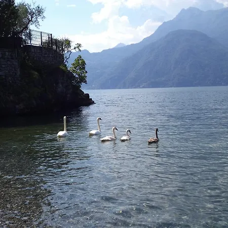 Lake View 6p Apt Near Varenna Апартаменты Перледо