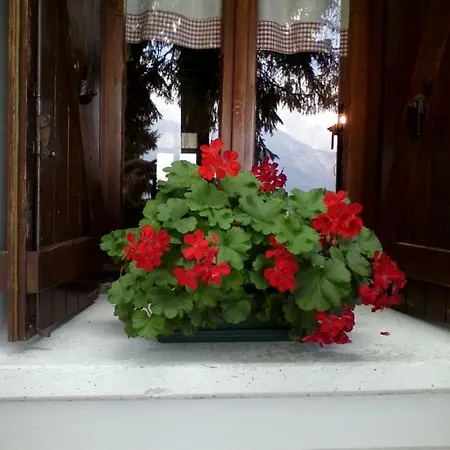 Lake View 6p Apt Near Varenna Lejlighed
